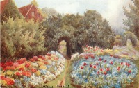 Ретро открытки - Клумбы с весенними цветами в старом саду