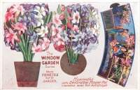 Ретро открытки - Гиацинты в декоративном цветочном горшке