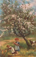 Ретро открытки - Время цветения. Яблоня