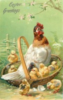 Ретро открытки - Курица с цыплятами, корзина и яблоневый цвет