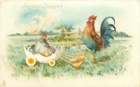 Ретро открытки - Куры, цыплята и фантастический автомобиль