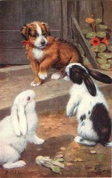 Ретро открытки - Два кролика и рыжий щенок