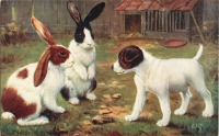 Ретро открытки - Два кролика и белый щенок