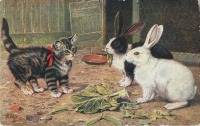 Ретро открытки - Б. Коббе. Серый котёнок с красным бантиком и два кролика