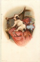 Ретро открытки - Маленькая собачка на стуле