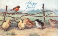 Ретро открытки - Счастливой Пасхи. Малиновка и цыплята у изгороди