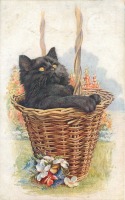 Ретро открытки - Черный котёнок в корзине и цветущий сад