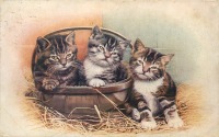 Ретро открытки - Три серых котёнка в корзине