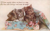 Ретро открытки - Эти милые котята не могу быть непослушными !