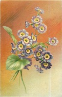 Ретро открытки - Жёлто-фиолетовый полиантус