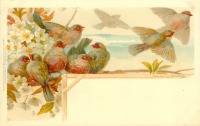 Ретро открытки - Девять зябликов и цветущая ветка
