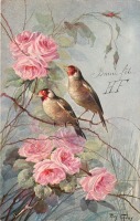 Ретро открытки - Два щегла и розовый куст