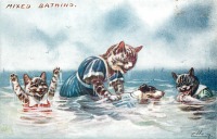 Ретро открытки - Кошка с котятами учат щенка плавать