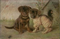 Ретро открытки - Два щенка и жук