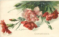 Ретро открытки - Розовые и красные гвоздики