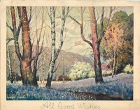 Ретро открытки - В весеннем лесу