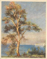 Ретро открытки - Земляничное дерево на морском берегу