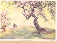 Ретро открытки - Весенний вечер. Цветущие вишнёвые деревья на закате