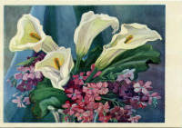 Ретро открытки - Садовые цветы