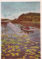 Ретро открытки - Озеро Селигер.Проток на озеро Долгое