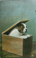 Ретро открытки - - Я голодный щенок в коробке