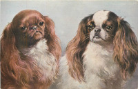 Ретро открытки - Собаки в парах, Японские спаниели