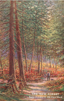 Ретро открытки - Ранняя осень в сосновом лесу Нью-Фореста