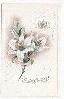 Ретро открытки - Пасхальные поздравления. Белые лилии и Вифлеемская Звезда