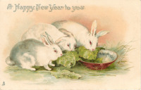 Ретро открытки - Три белых кролика и  капуста в миске