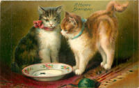Ретро открытки - День рождения. Две кошки,миска молока и сверчок