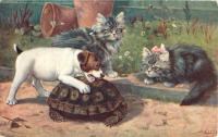 Ретро открытки - Два котёнка, щенок и черепаха