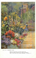 Ретро открытки - Ф. Пилкингтон. Цветущий сад