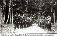Литва - Литовские «лесные братья»