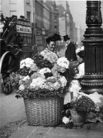 Лондон - Лондон.  Продавщиця квітів на вулиці.