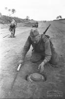 Солдаты и офицеры Советской армии - Советские сапёры обезвреживают немецкие противотанковые мины «Теллермина-43» (Tellermine Pilz 43) на дороге.