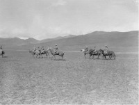 Киргизия - Алайские киргизы. Скаковые киргизские лошади, 1906