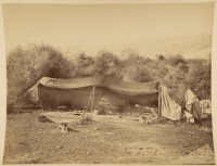 Израиль - Лагерь бедуинов где-то в Палестине, 1867