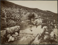 Израиль - Источник Елисея и небольшой ручей, 1867-1870