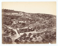 Израиль - Вид Масличной горы в Иерусалиме, 1880-1885
