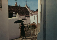 Португалия - Крестьянка с осликом на деревенской улице в Алгарви