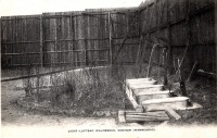 Бохум - Waldesruh-lichtluftbad-g   Спокойный шум леса-воздушные водянные ванны 1917 г.