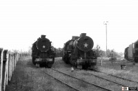 Железная дорога (поезда, паровозы, локомотивы, вагоны) - Паровозы ТЭ-1114,ТЭ-5073 на базе запаса Лунинец.Брестская обл.