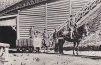 Железная дорога (поезда, паровозы, локомотивы, вагоны) - Вагонетки на конной тяге