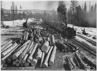 Железная дорога (поезда, паровозы, локомотивы, вагоны) - Узкоколейная ж.д.на лесозаготовках в индейской резервации Колвилл,штат  Вашингтон,США
