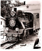 Железная дорога (поезда, паровозы, локомотивы, вагоны) - Паровоз ЮП-495 (159-495) Днепропетровской детской железной дороги