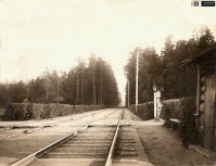 Железная дорога (поезда, паровозы, локомотивы, вагоны) - Царскосельская железная дорога в Павловском парке