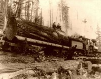 Железная дорога (поезда, паровозы, локомотивы, вагоны) - На лесозаготовке