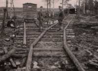 Железная дорога (поезда, паровозы, локомотивы, вагоны) - Немецкая военно-полевая лежневая дорога,Восточный фронт