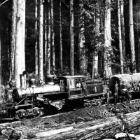 Железная дорога (поезда, паровозы, локомотивы, вагоны) - Паровоз №4 системы Климакс на железной дороге лесозаготовительной компании Лумбер