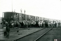 Железная дорога (поезда, паровозы, локомотивы, вагоны) - Прибытие эшелона с голодающими на ст.Оренбург